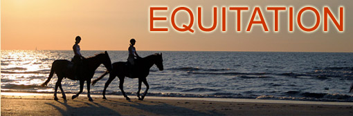 H�bergements th�me equitation