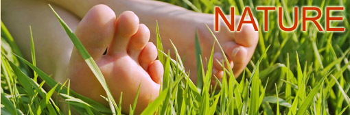 H�bergements th�me nature