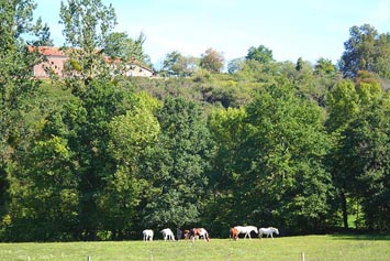 Gite de groupe Domaine de Brassac