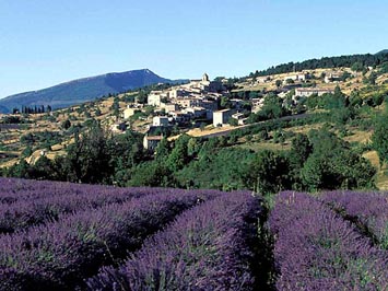 Gite de groupe La Maison d'Aurel