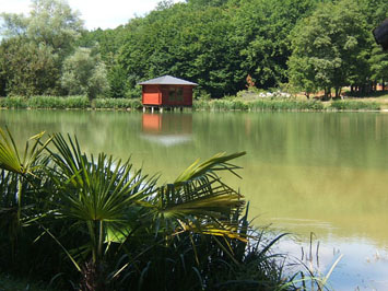 Gite de groupe Tikal-Lodge