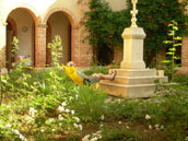 Agrandir la photo