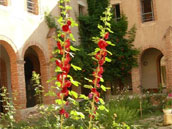 Agrandir la photo