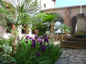 Agrandir la photo