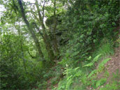 Agrandir la photo