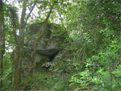 Agrandir la photo