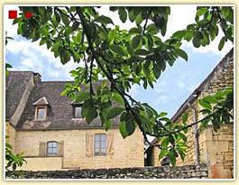 Agrandir la photo