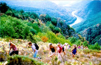 Agrandir la photo