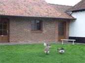 Agrandir la photo