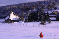 Agrandir la photo