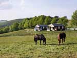 Gite de groupe Tarn 