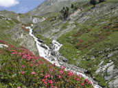 Agrandir la photo