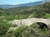 Agrandir la photo