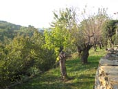 Agrandir la photo