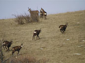 Agrandir la photo