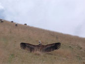 Agrandir la photo