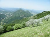 Agrandir la photo