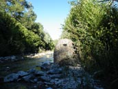 Agrandir la photo