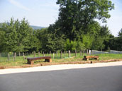 Agrandir la photo