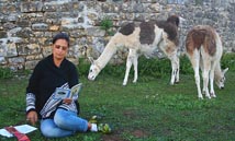 Agrandir la photo