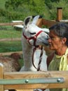 Agrandir la photo