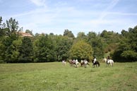 Agrandir la photo