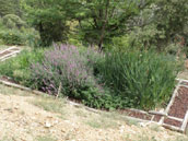 Agrandir la photo