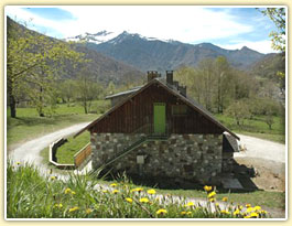 Agrandir la photo