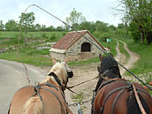 Agrandir la photo