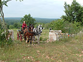 Agrandir la photo