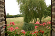 Agrandir la photo