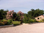 Agrandir la photo