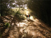Agrandir la photo