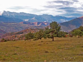 Agrandir la photo