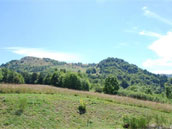 Agrandir la photo
