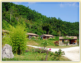 Agrandir la photo