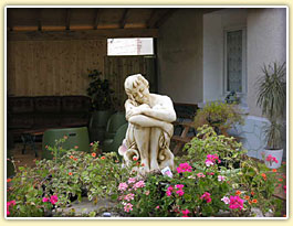 Agrandir la photo