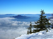 Agrandir la photo