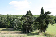 Agrandir la photo