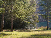 Agrandir la photo
