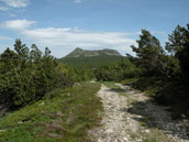 Agrandir la photo