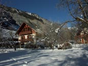 Agrandir la photo
