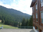 Agrandir la photo