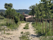 Agrandir la photo