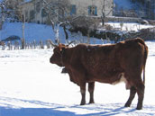 Agrandir la photo