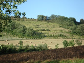Agrandir la photo