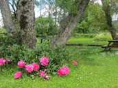 Agrandir la photo