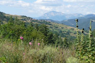 Agrandir la photo