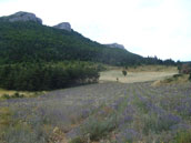 Agrandir la photo