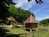 Agrandir la photo